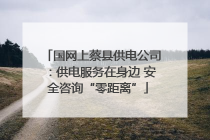 国网上蔡县供电公司：供电服务在身边 安全咨询“零距离”